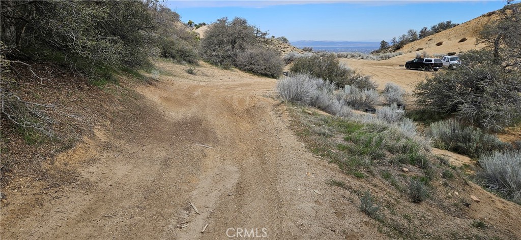 8243 Simson Road Pinon Hills, CA 92372 - Photo 28 of 33 a view of a dry field with trees in the background