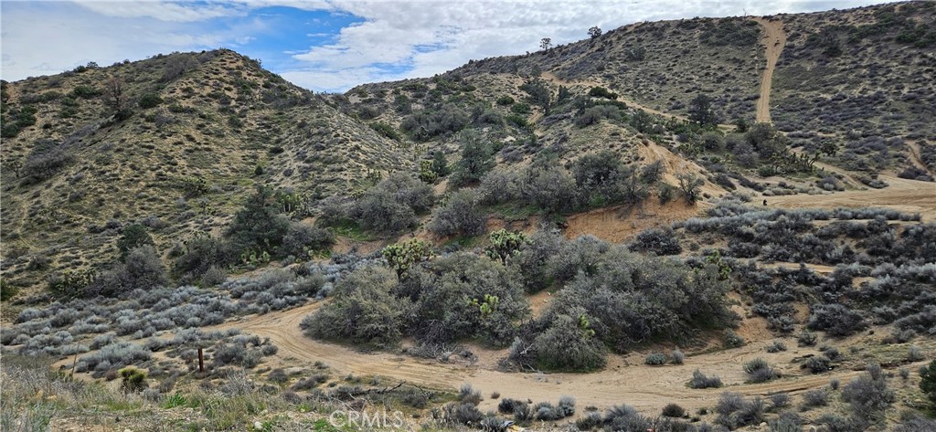 8243 Simson Road Pinon Hills, CA 92372 - Photo 29 of 33 a view of a large yard