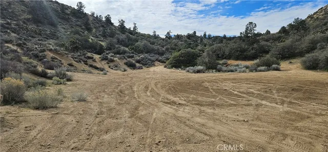 a view of an outdoor space and a yard