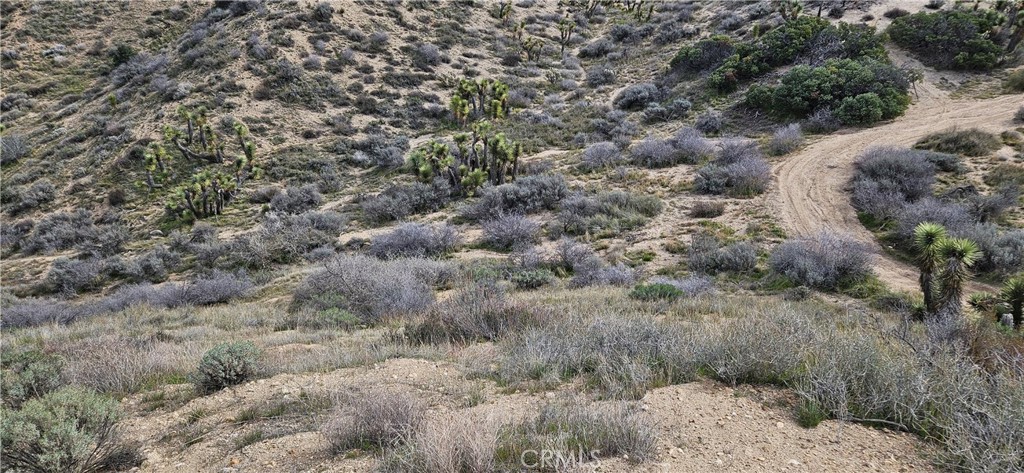 8243 Simson Road Pinon Hills, CA 92372 - Photo 10 of 33 a view of a field with trees in background