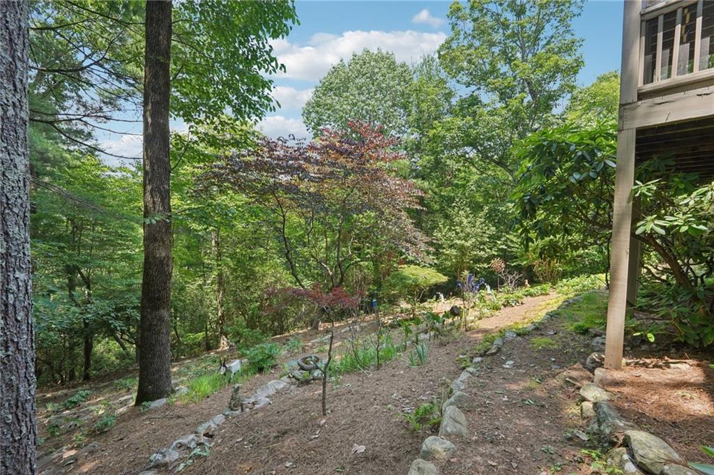 44 Sassafras Ridge Big Canoe, GA 30143 - Photo 82 of 107 a view of a yard with plants and trees