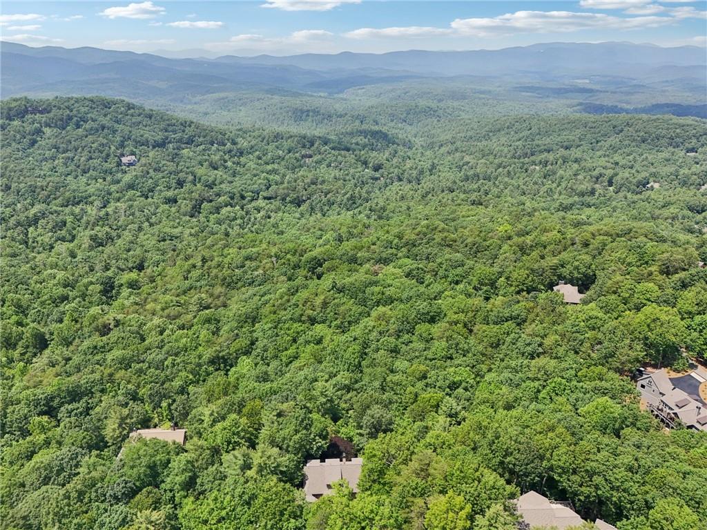 44 Sassafras Ridge Big Canoe, GA 30143 - Photo 89 of 107