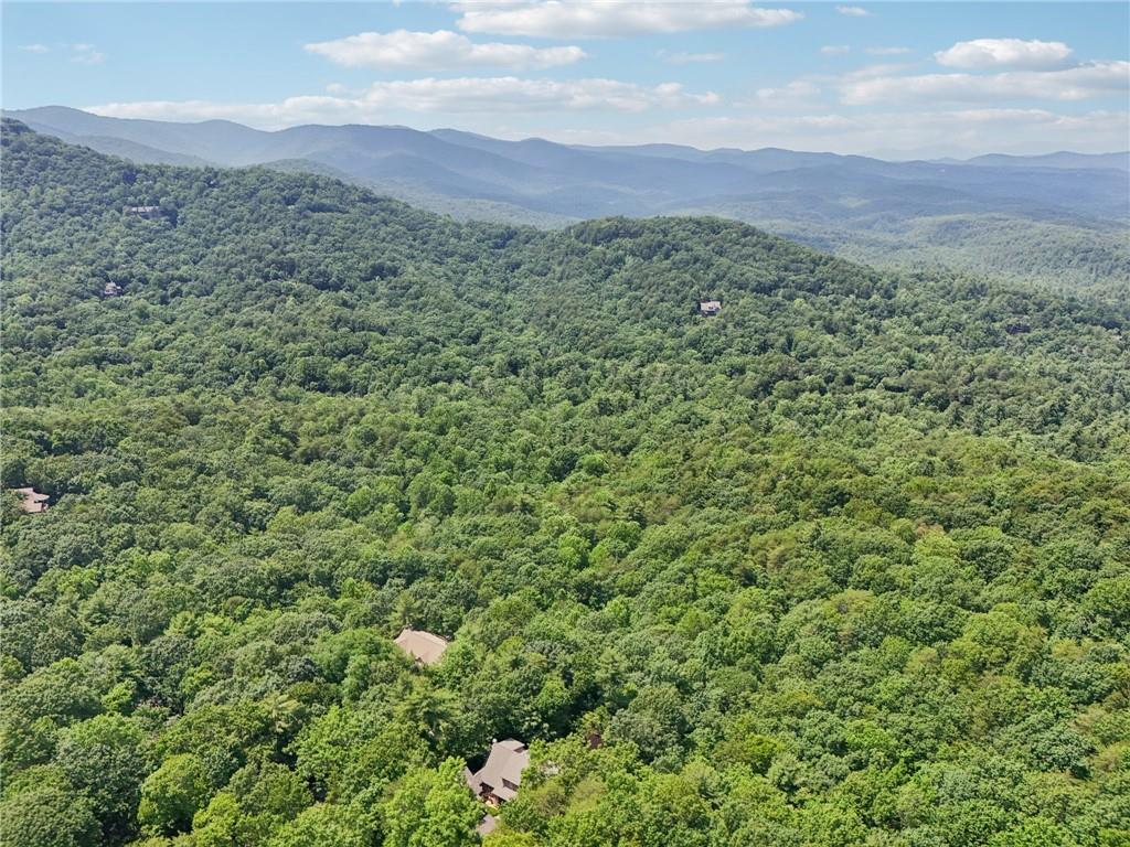 44 Sassafras Ridge Big Canoe, GA 30143 - Photo 90 of 107 a view of a lush green field with a mountain in the background