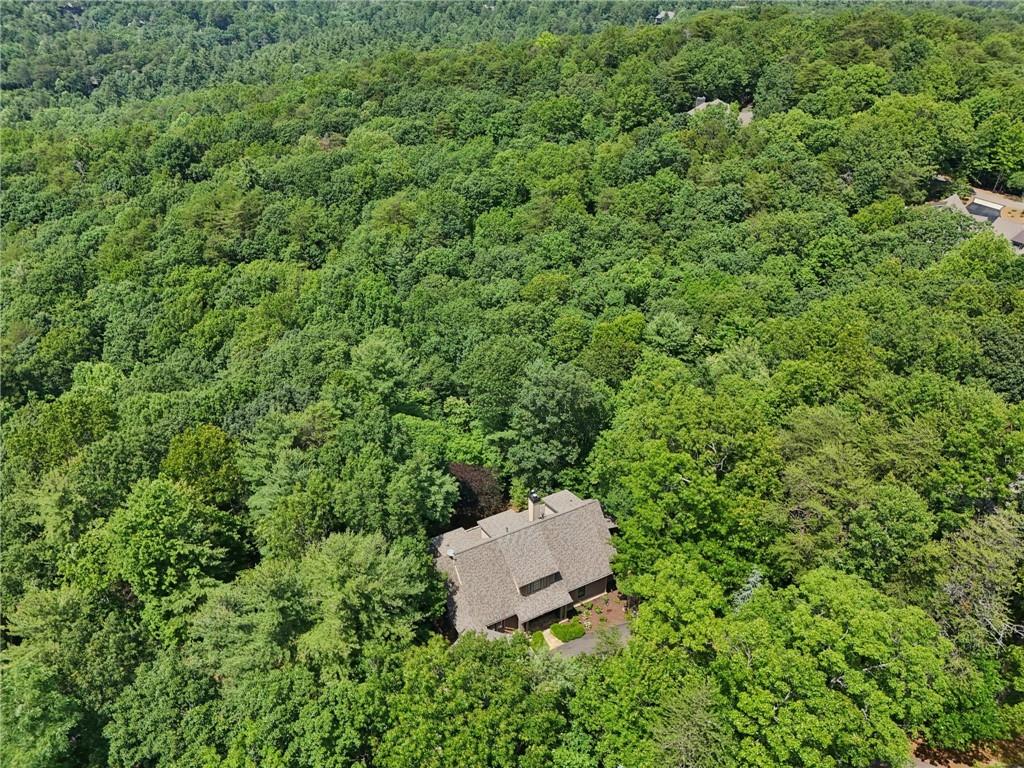 44 Sassafras Ridge Big Canoe, GA 30143 - Photo 93 of 107