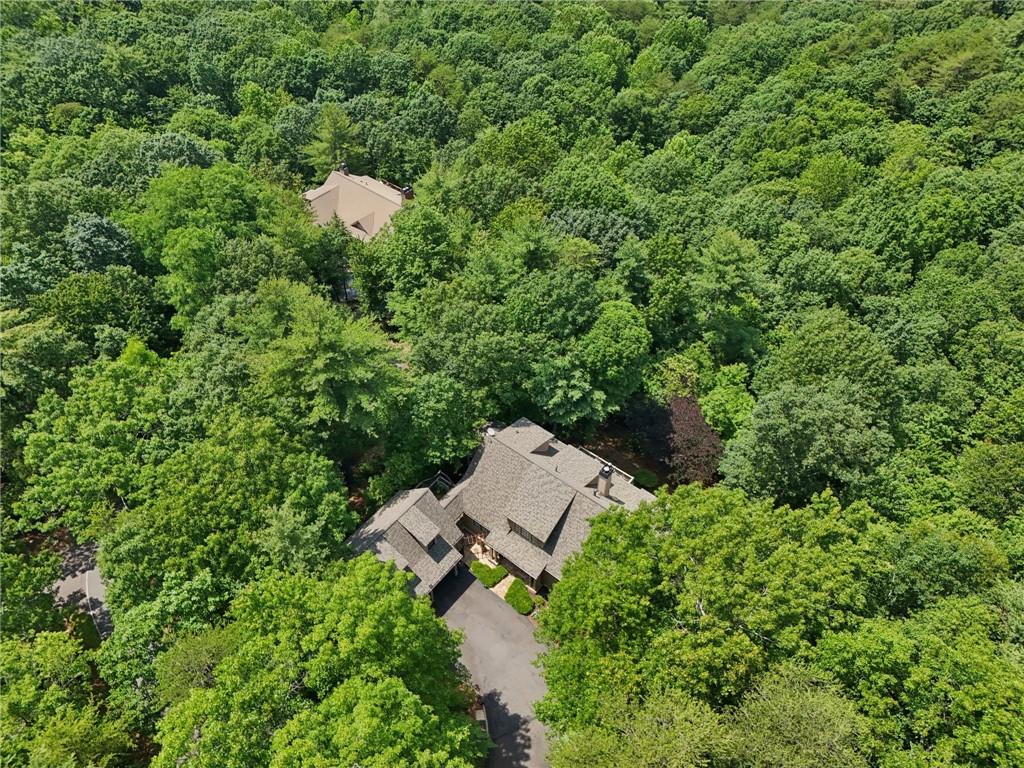 44 Sassafras Ridge Big Canoe, GA 30143 - Photo 95 of 107 an aerial view of a house with a yard and outdoor seating