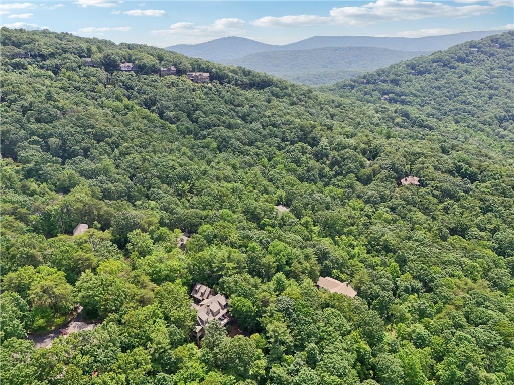 44 Sassafras Ridge Big Canoe, GA 30143 - Photo 98 of 107