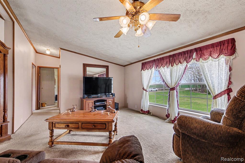 7689 West Sidney Road Greenville, MI 48838 - Photo 7 of 27