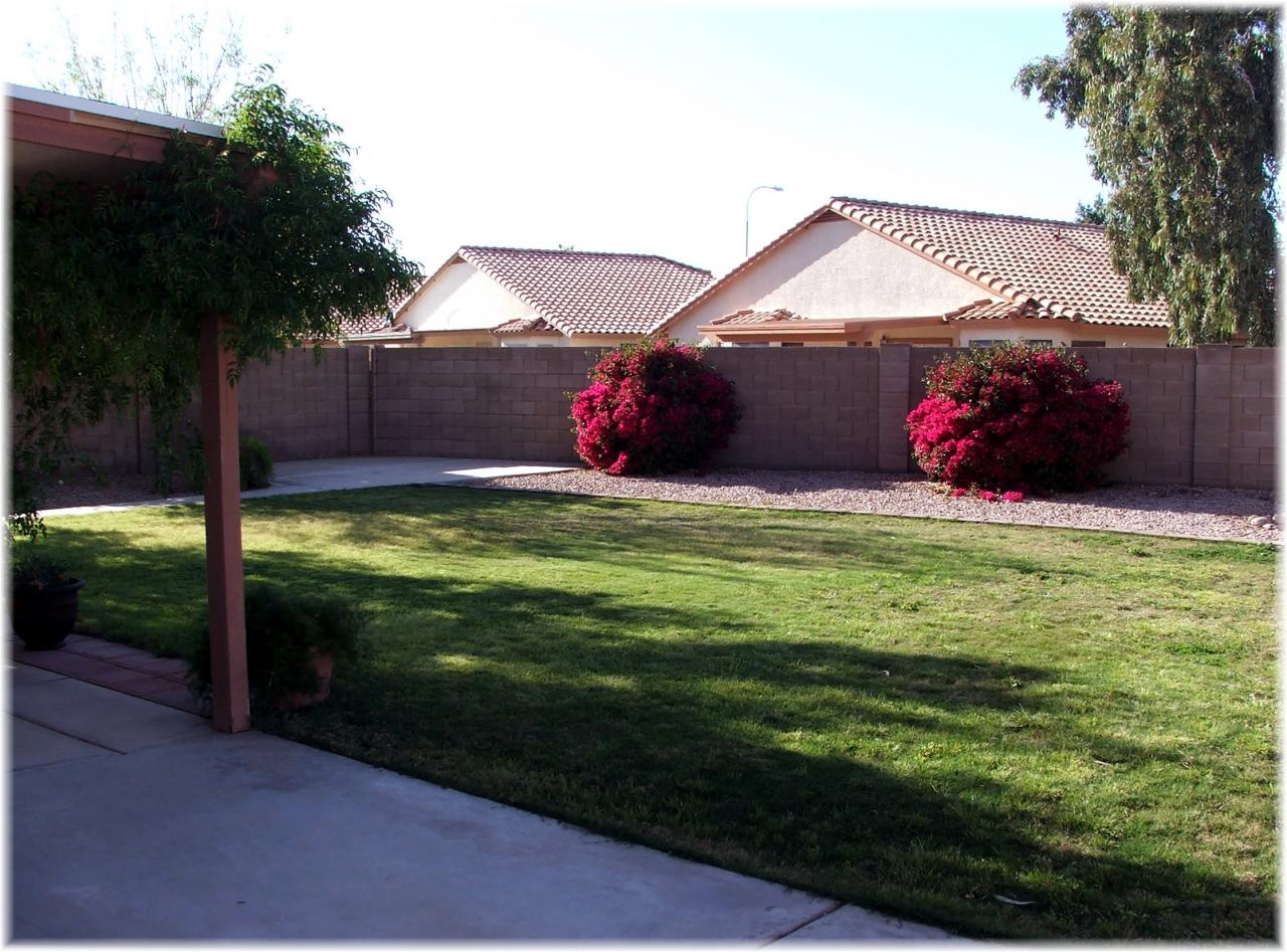 1654 West Boston Street Chandler, AZ 85224 - Photo 11 of 13 Large backyard on corner lot