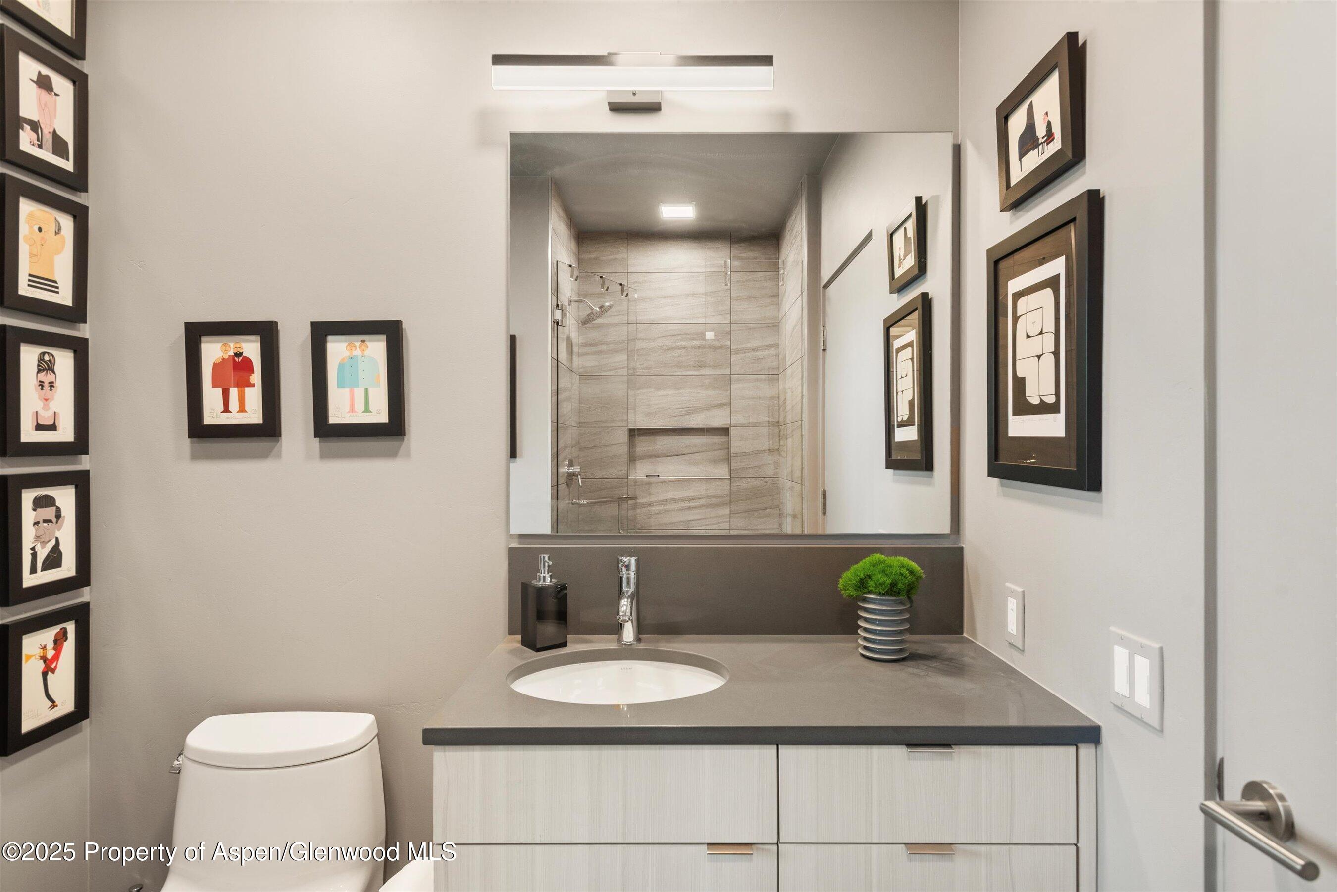 103 Willits Lane, Unit 204 Basalt, CO 81621 - Photo 18 of 24 a bathroom with a granite countertop sink a toilet and mirror
