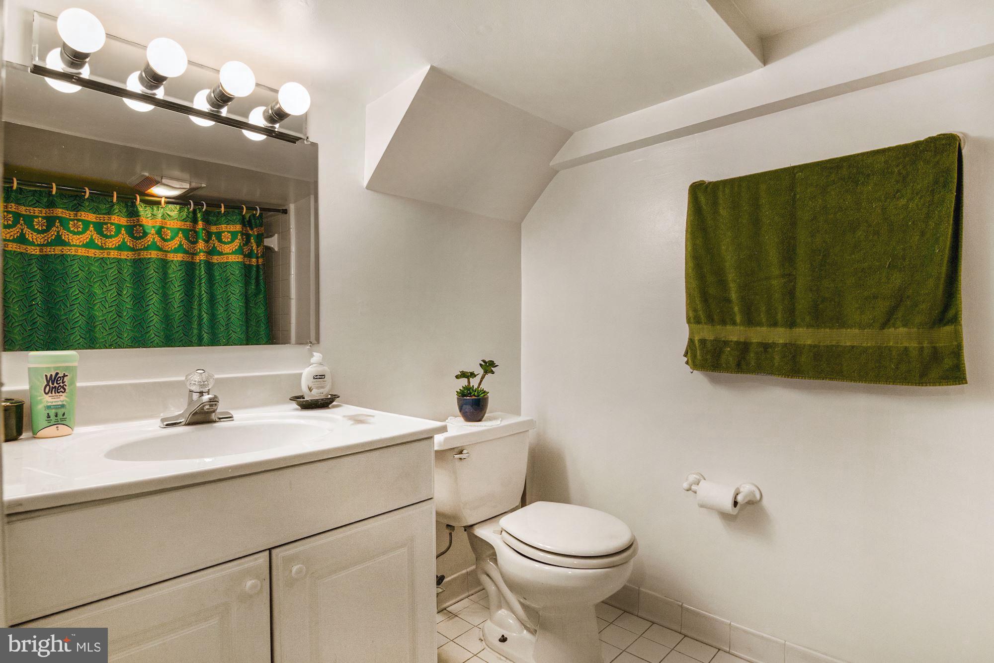 303 East Glebe Road Alexandria, VA 22305 - Photo 32 of 38 Lower level bathroom