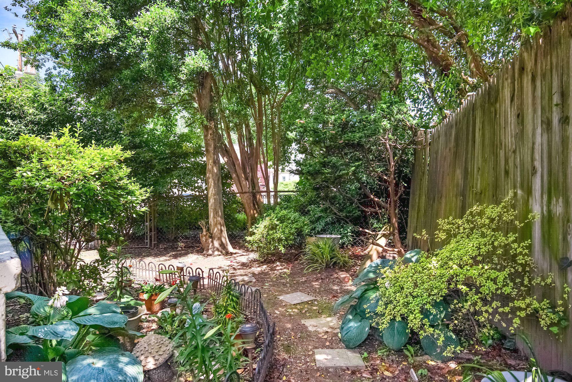 303 East Glebe Road Alexandria, VA 22305 - Photo 37 of 38 Private Backyard