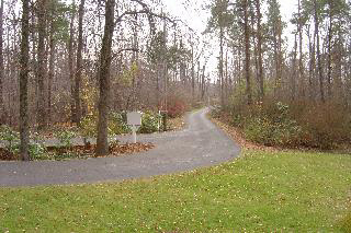 3580 Samaria Road Temperance, MI 48182 - Photo 3 of 20 Yard