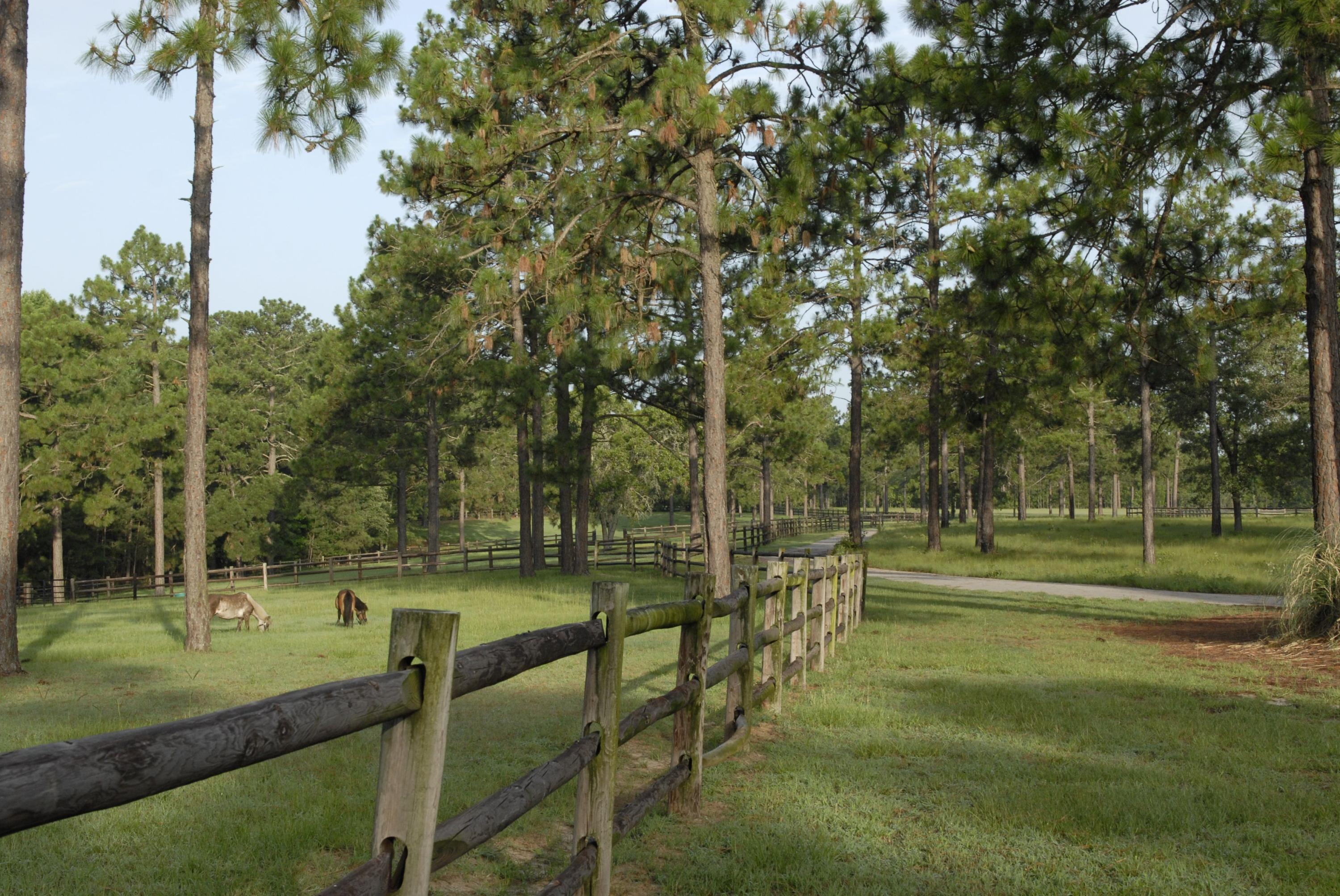 1099 Youngs Road Vass, NC 28394 - Photo 24 of 25 24_5ac28d2fb15b6_5290