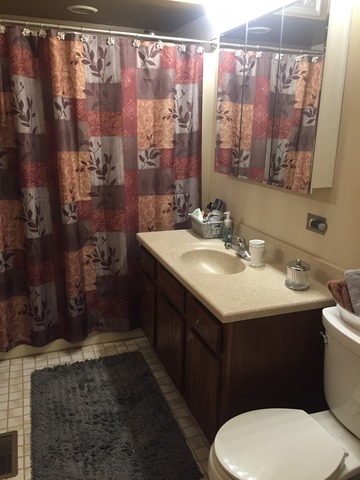 3638 Harlem Avenue Riverside, IL 60546 - Photo 18 of 21 a bathroom with a sink and a mirror