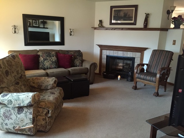 3638 Harlem Avenue Riverside, IL 60546 - Photo 7 of 21 a living room with furniture and a fireplace