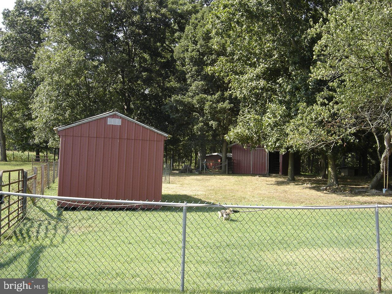 442 Garrison Road Elmer, NJ 08318 - Photo 13 of 15 Out Buildings in Yard
