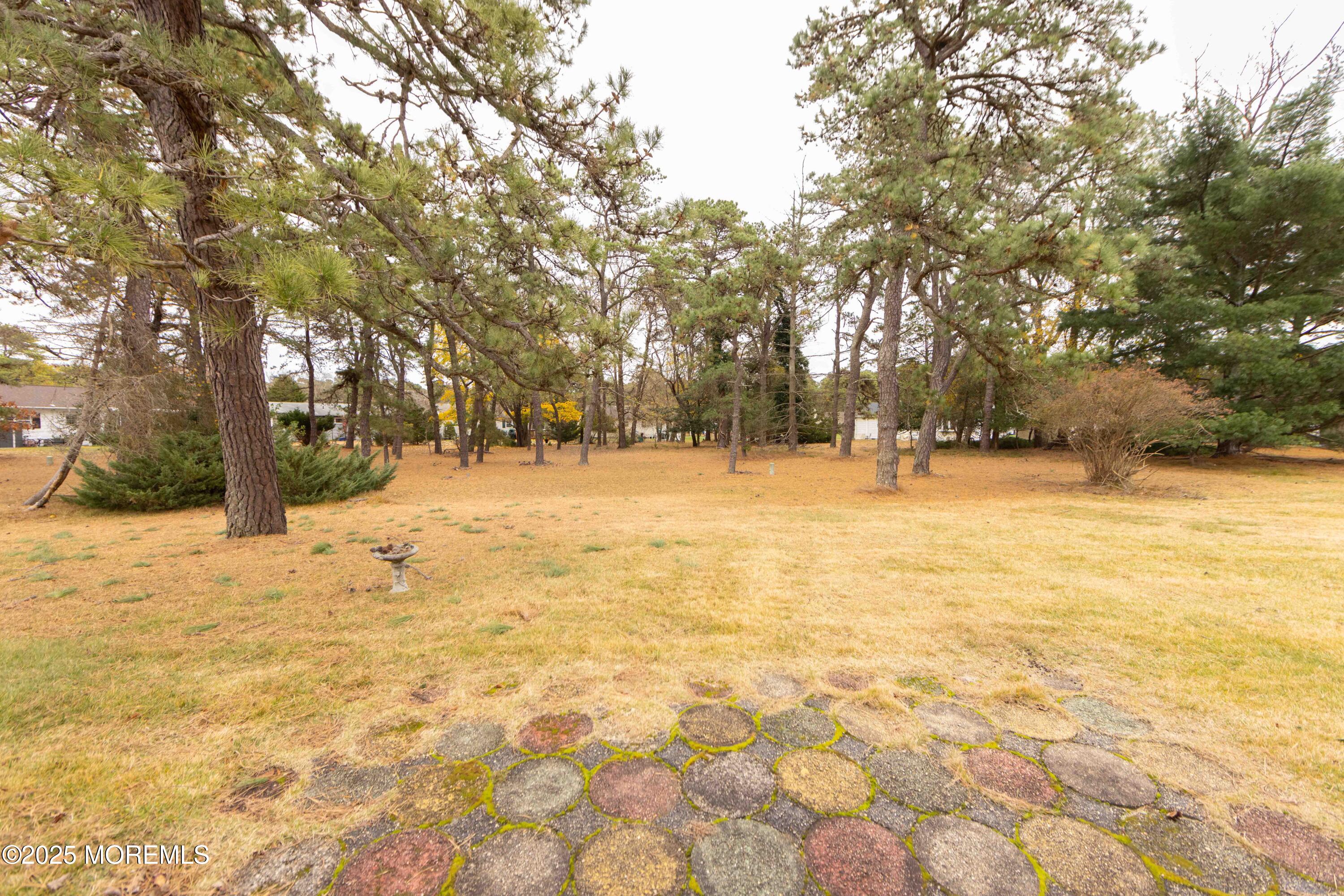 31 Southampton Road Toms River, NJ 08757 - Photo 12 of 14 a view of yard with trees