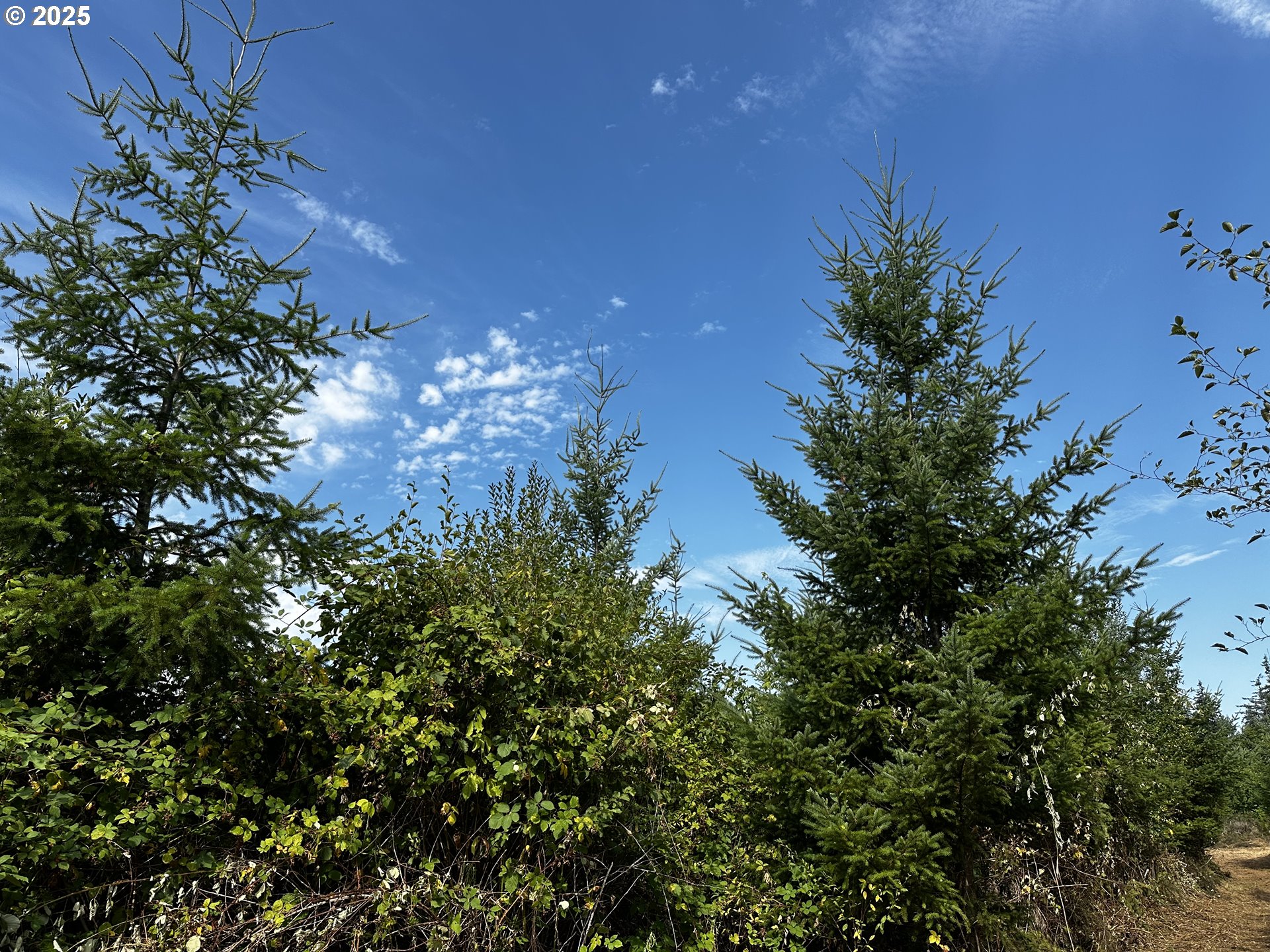 Barker Road Rainier, OR 97048 - Photo 4 of 15 Gallery Image 4