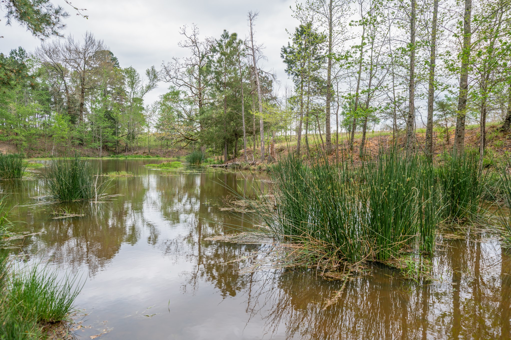 155 Ore City Tx 75683 Tyler, TX 75708 - Photo 45 of 50