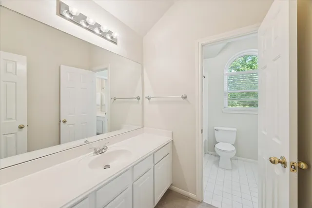 a bathroom with a sink a toilet and a mirror