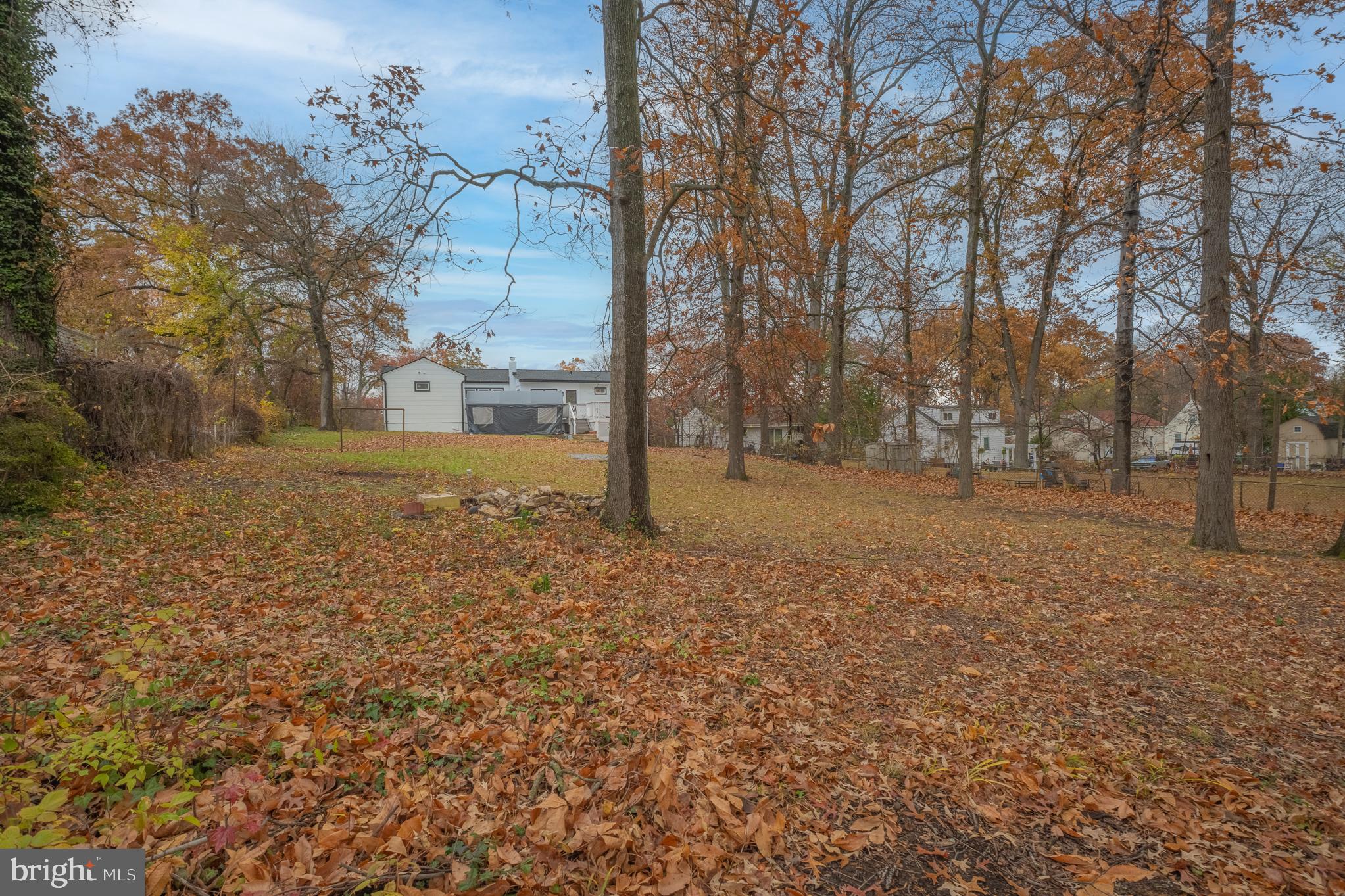 9217 Fowler Lane Lanham, MD 20706 - Photo 76 of 80 a view of dirt yard with a large tree