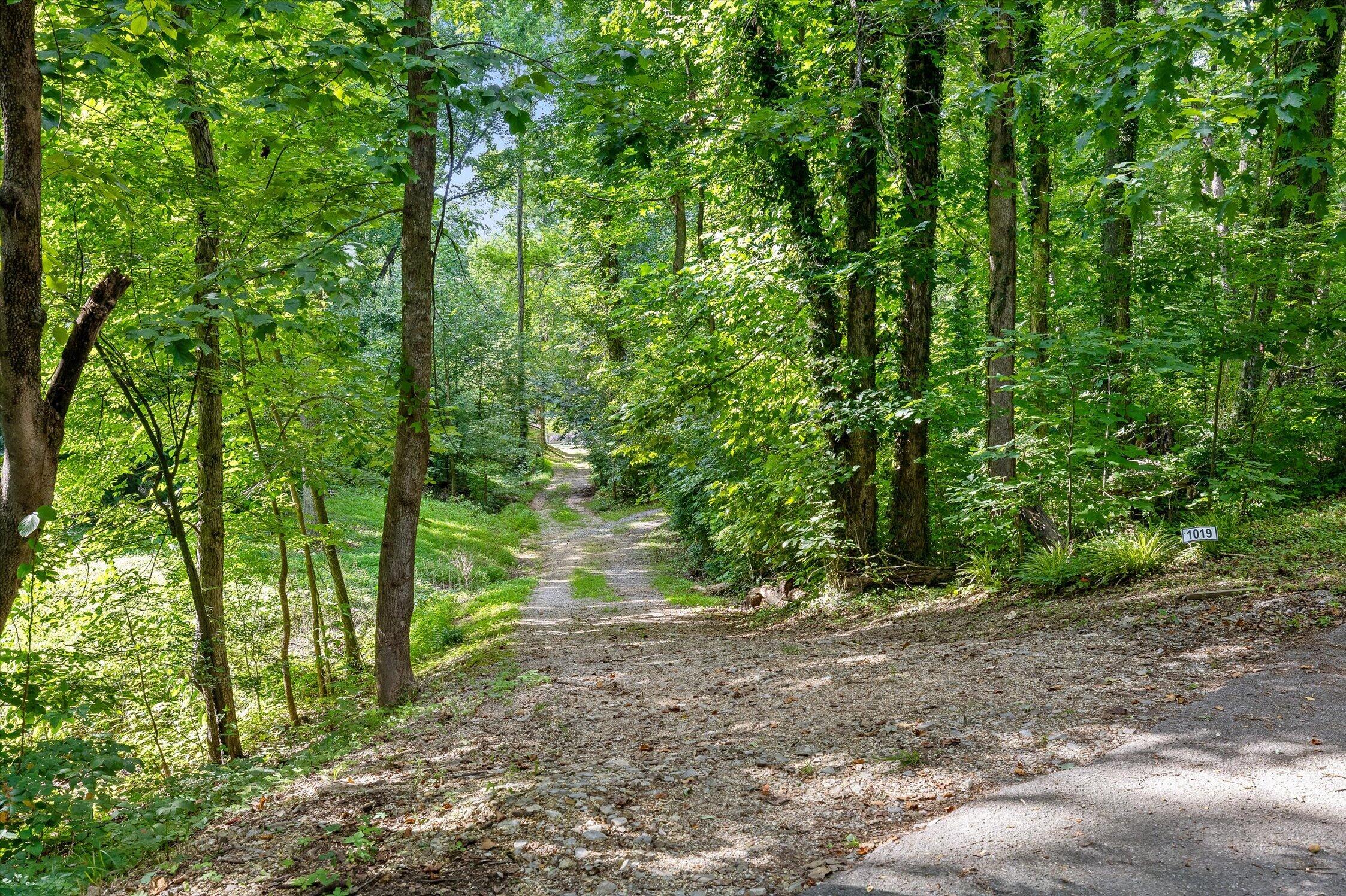1011 Clift Cave Road Soddy-Daisy, TN 37379 - Photo 85 of 89 15-1011 Clift Cave-75