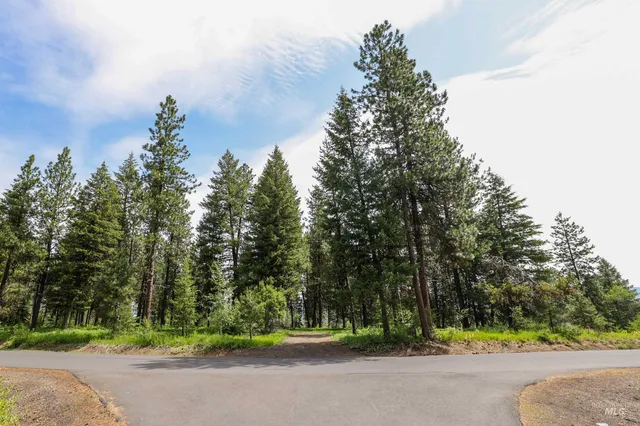 $450,000 | 280 Blackhawk Lake Drive, McCall, ID 83638