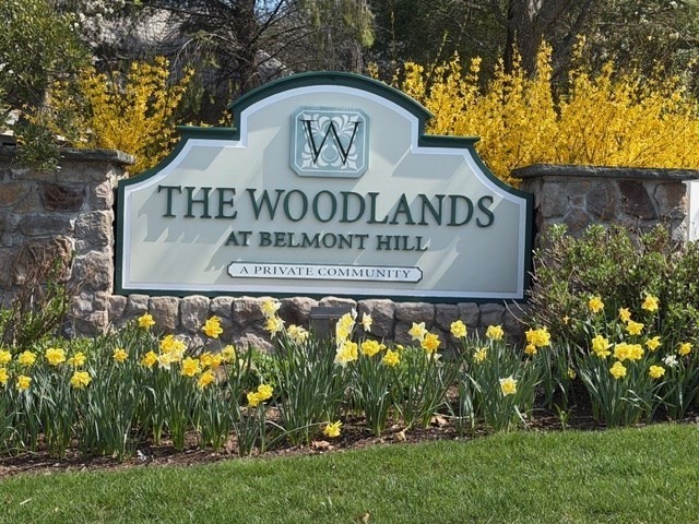 56 Summit Road, Unit 5 Belmont, MA 02478 - Photo 2 of 28 Gallery Image 2