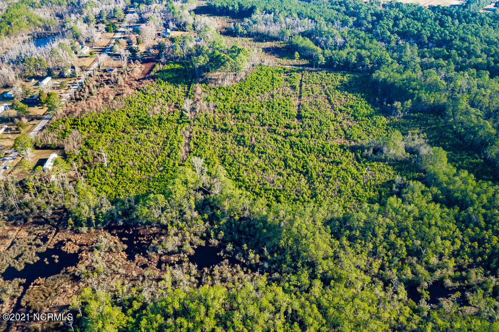 415 Silver Dollar Road Beaufort, NC 28516 - Photo 6 of 11 DJI_0984