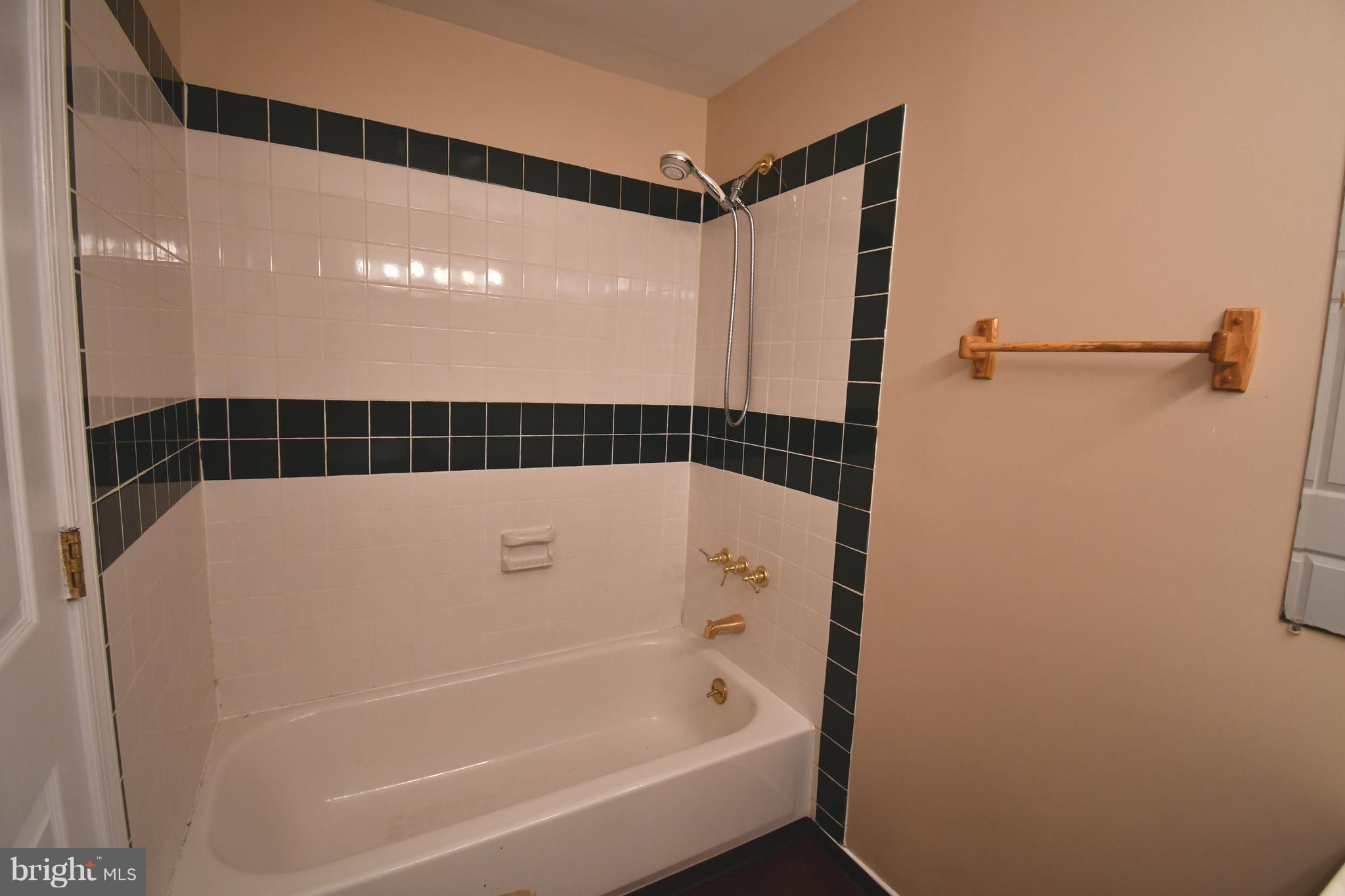 14721 Basingstoke Loop Centreville, VA 20120 - Photo 12 of 17 Full Bath in Basement
