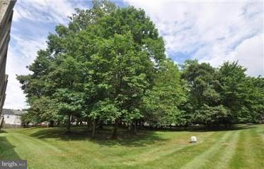 14721 Basingstoke Loop Centreville, VA 20120 - Photo 14 of 17 View