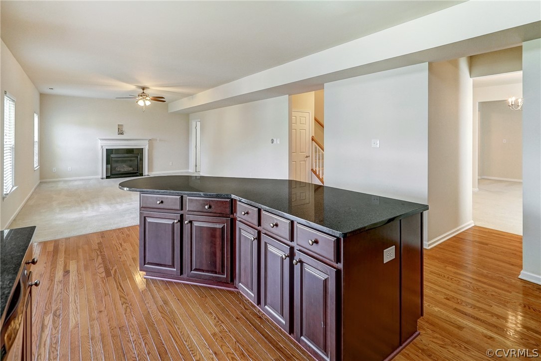 6972 Bears Breech Drive Moseley, VA 23120 - Photo 13 of 49