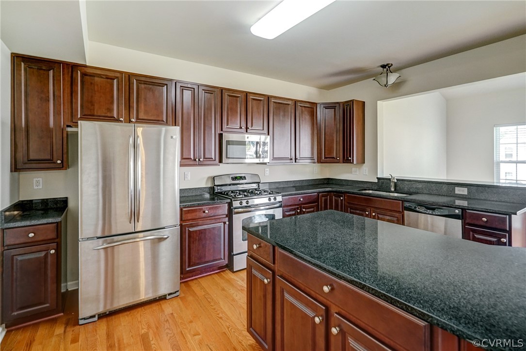 6972 Bears Breech Drive Moseley, VA 23120 - Photo 20 of 49