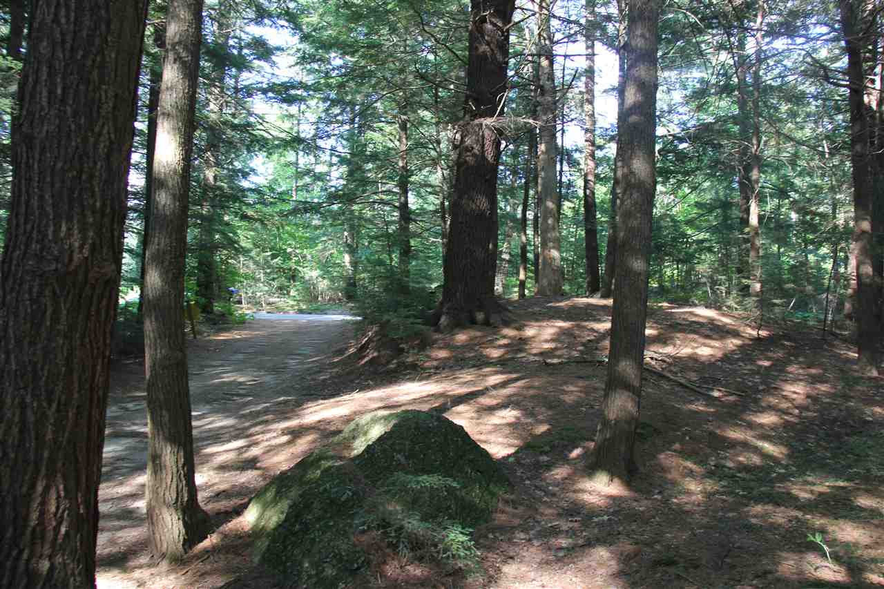 324 N Road Deering, NH 03244 - Photo 8 of 8