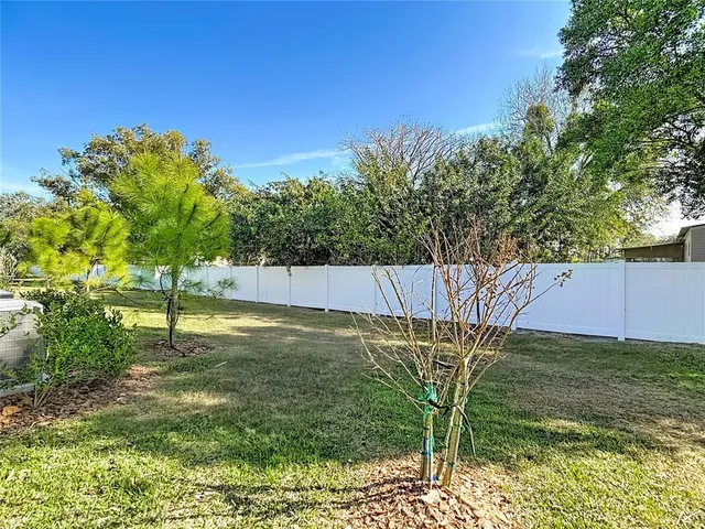 a view of a backyard with a small cabin