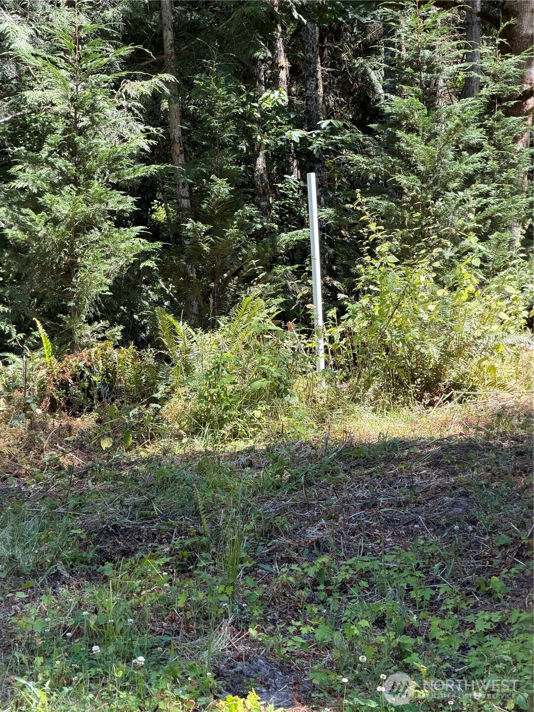 1183 Blyn Springs Road Sequim, WA 98382 - Photo 6 of 37