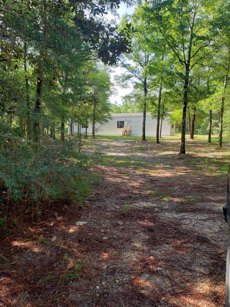180 Spring Hill Road DeFuniak Springs, FL 32433 - Photo 8 of 17 a view of a tree in the middle of a yard