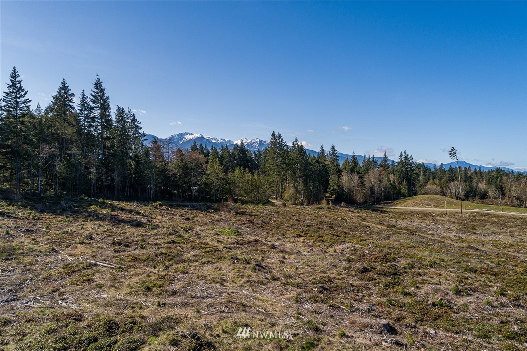 1006 Lemmon Road Port Angeles, WA 98362 - Photo 14 of 17
