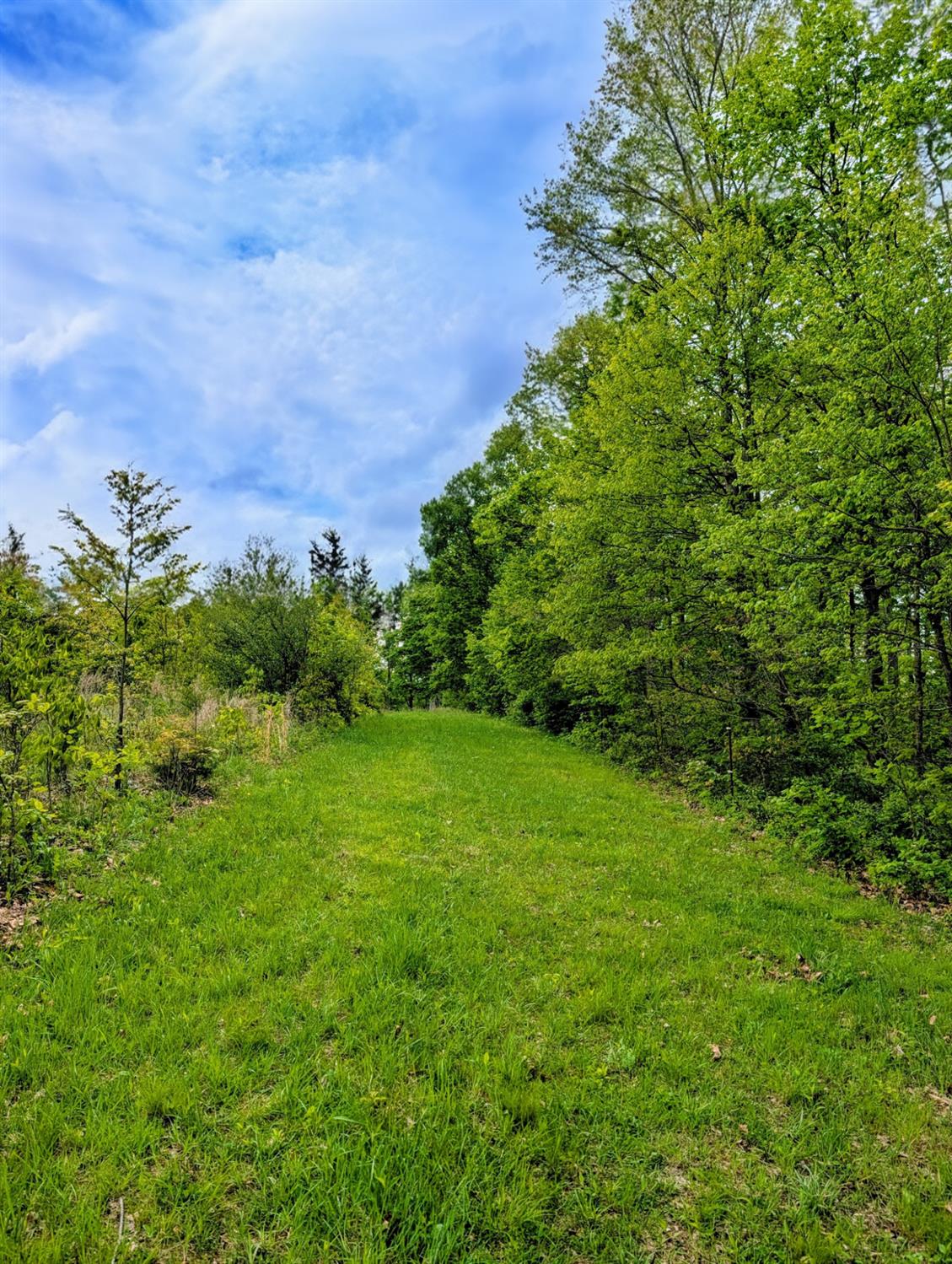 0 Longbranch Road Moores Hill, IN 47032 - Photo 14 of 25