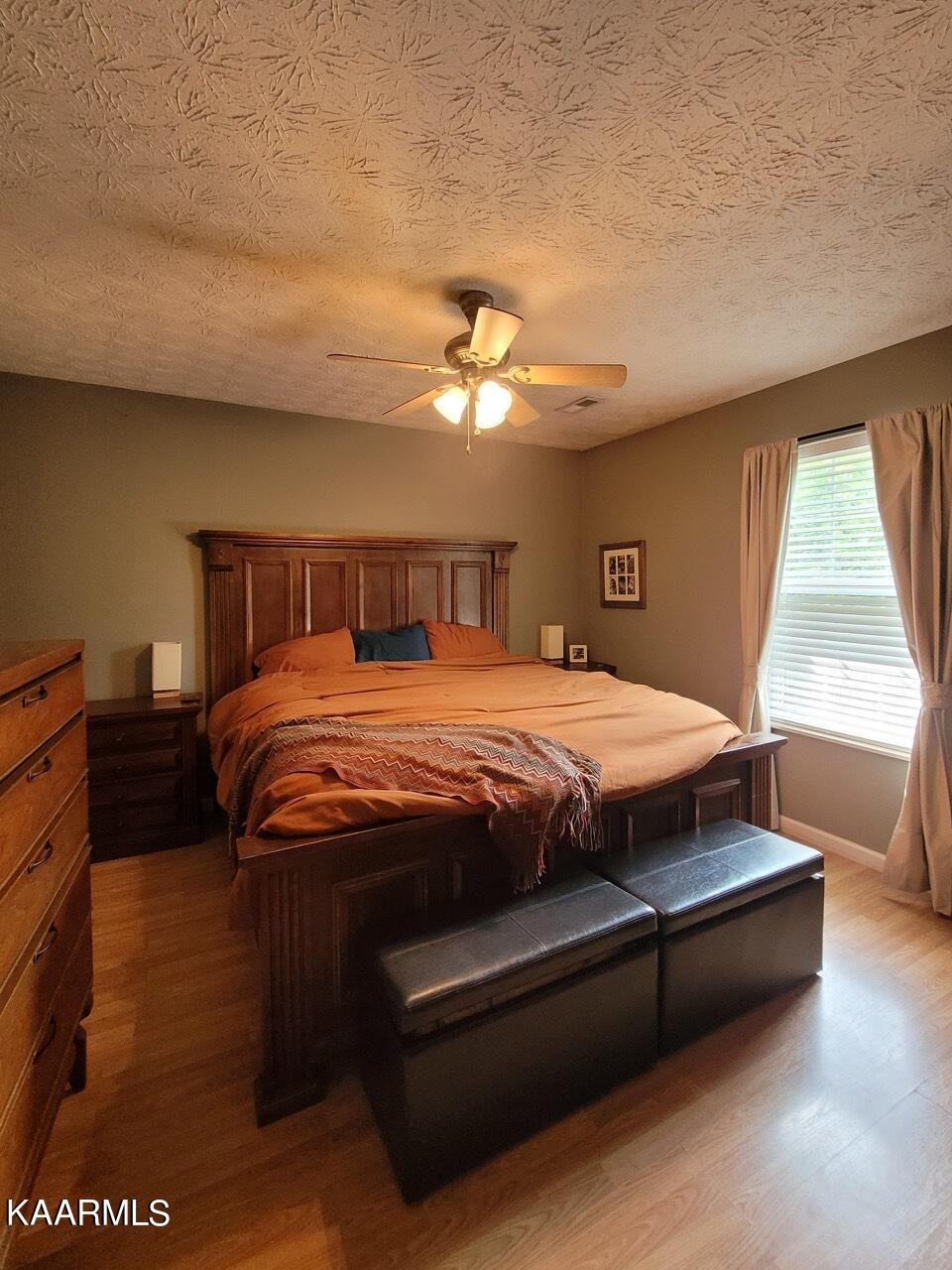 701 Deer Cove Road Greenback, TN 37742 - Photo 10 of 14 master bedroom