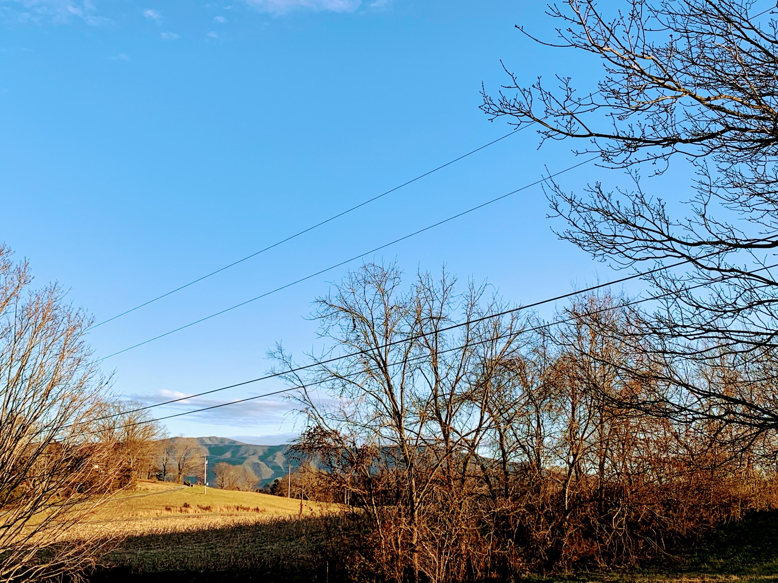845 Links Mill Road Greeneville, TN 37743 - Photo 3 of 27 Mountain View