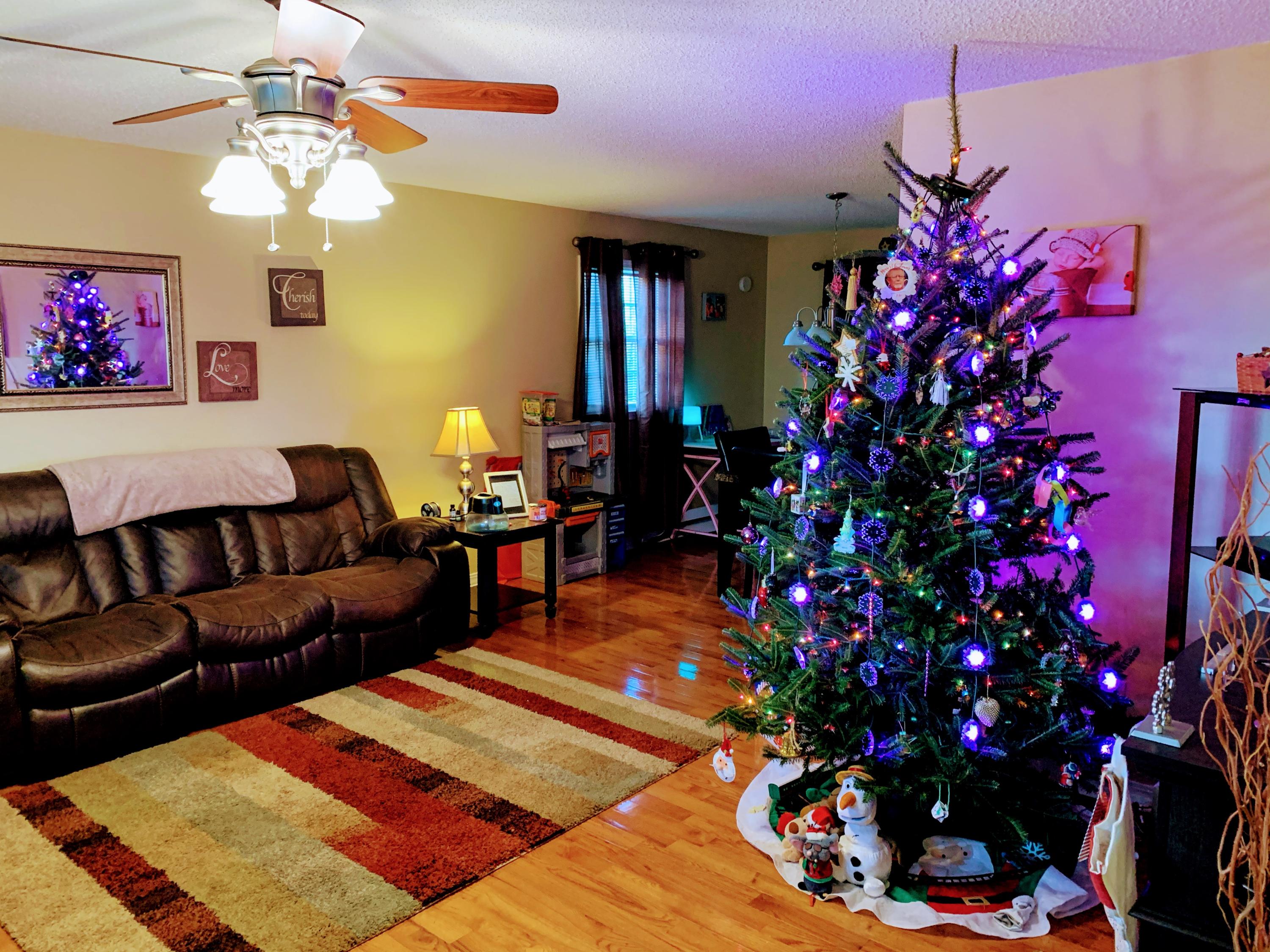 845 Links Mill Road Greeneville, TN 37743 - Photo 5 of 27 Living Room