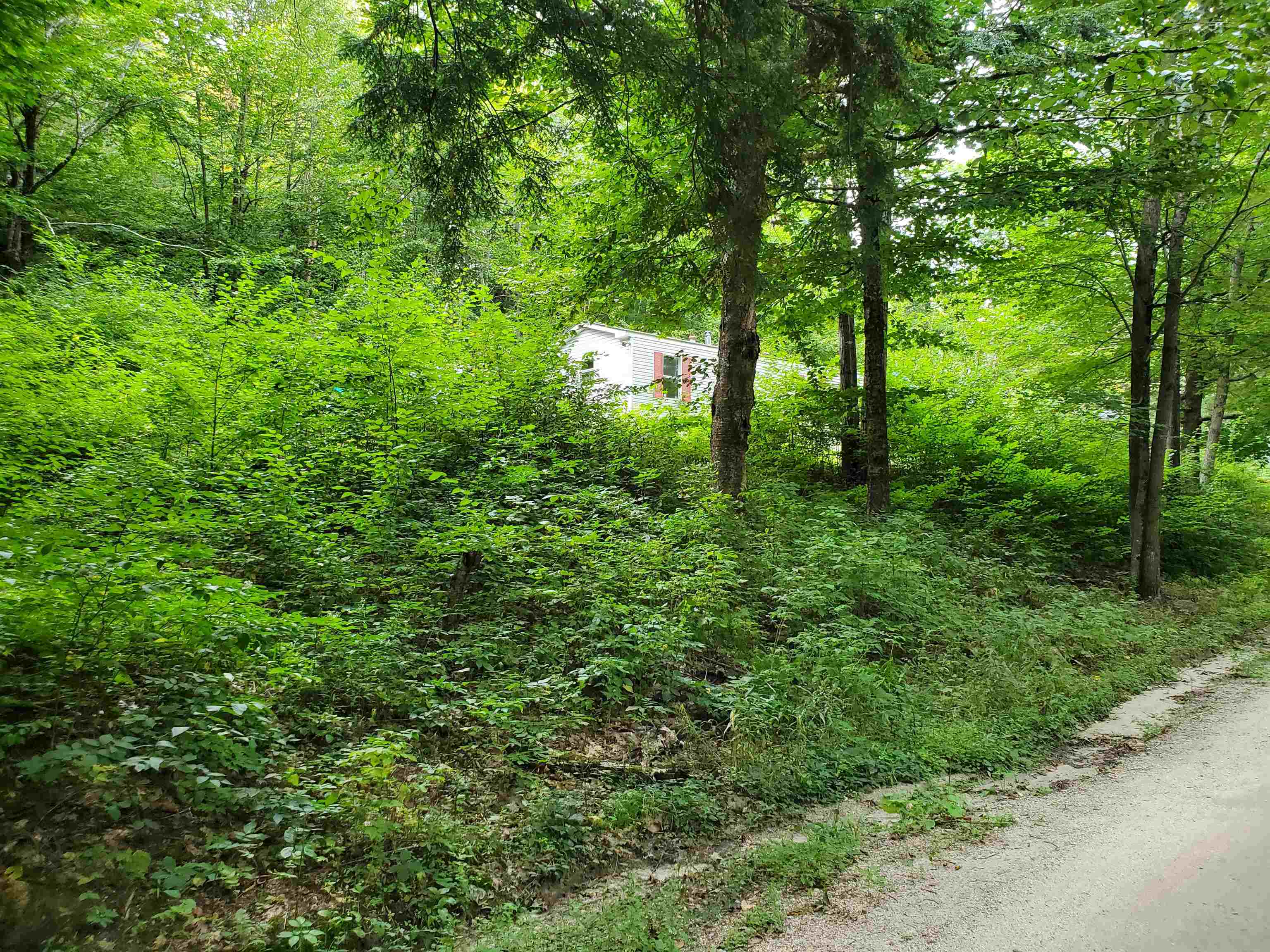 337 Turnpike Road Grafton, NH 03240 - Photo 2 of 17