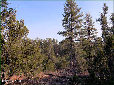 1948 Green Valley Road, Unit 29 Heber, AZ 85928 - Photo 1 of 4 mls1