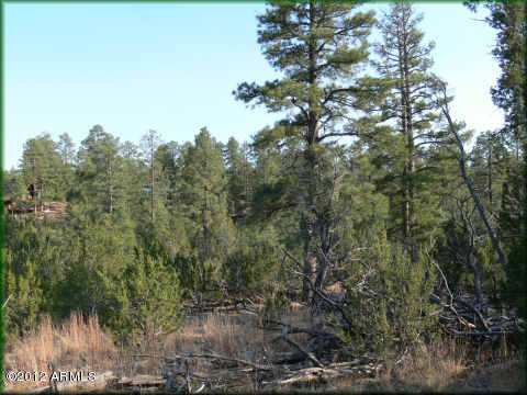 1948 Green Valley Road, Unit 29 Heber, AZ 85928 - Photo 2 of 4 mls2