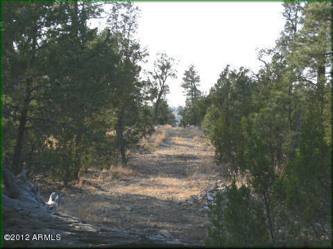 1948 Green Valley Road, Unit 29 Heber, AZ 85928 - Photo 3 of 4 mls3