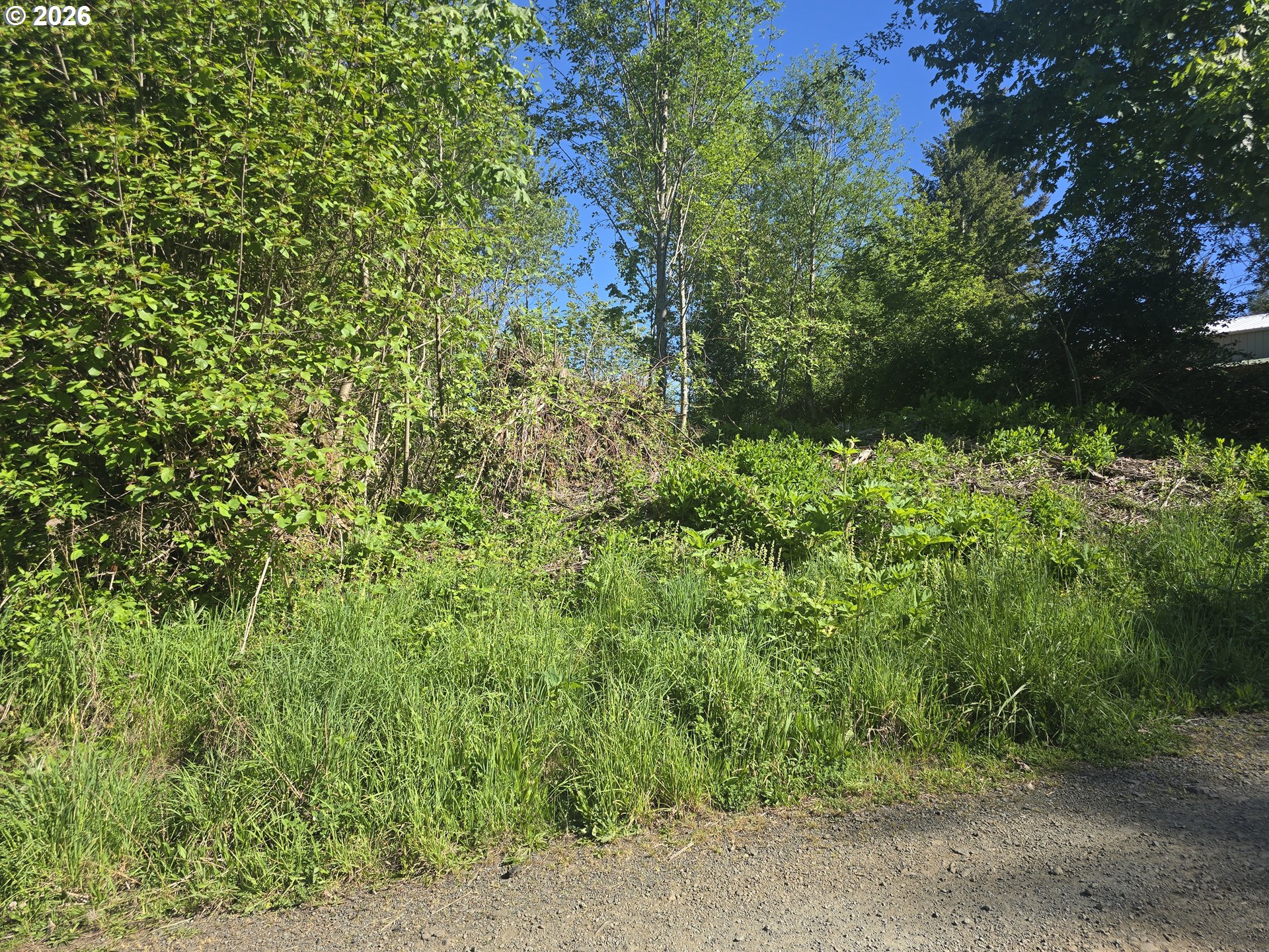 Bear Road Seaside, OR 97138 - Photo 3 of 10