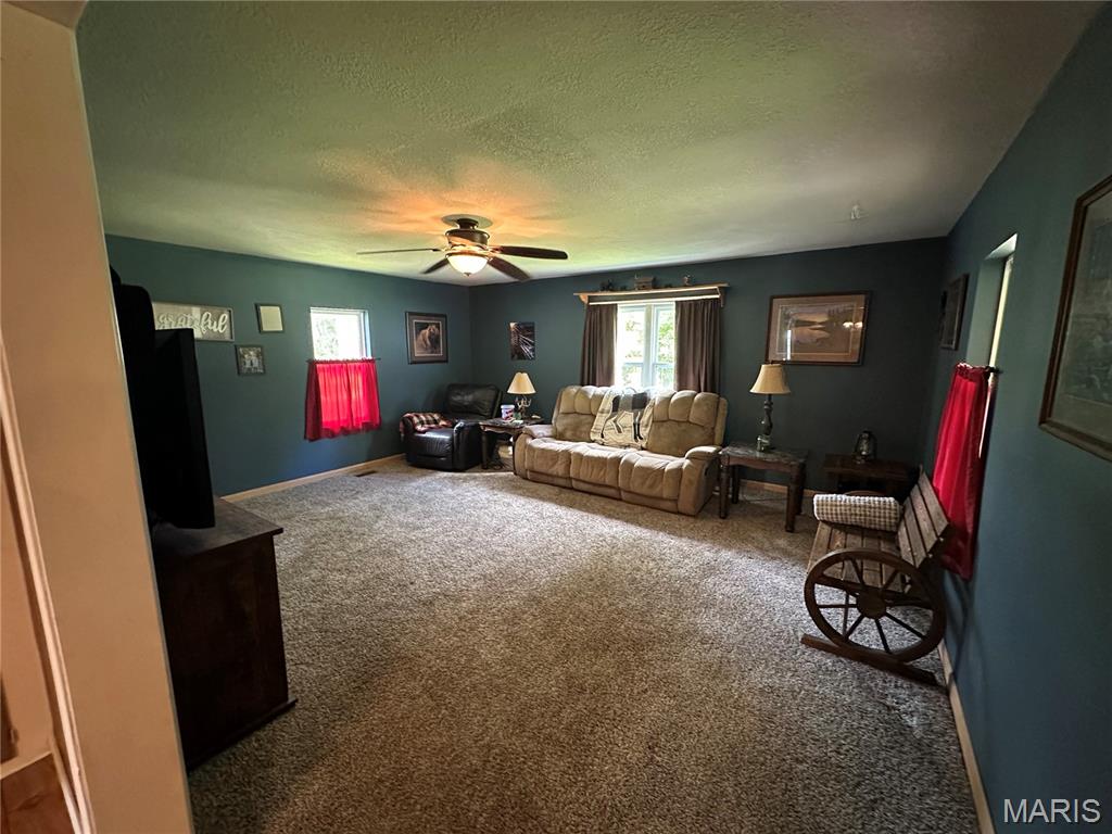 128 Pine Street Ironton, MO 63650 - Photo 17 of 35