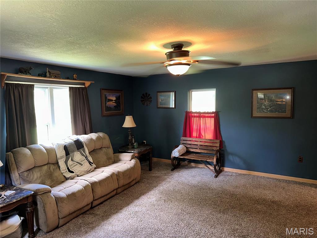 128 Pine Street Ironton, MO 63650 - Photo 18 of 35