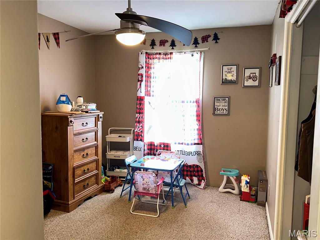 128 Pine Street Ironton, MO 63650 - Photo 27 of 35